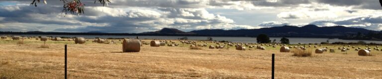 121214 Hay field in Tassie - thin