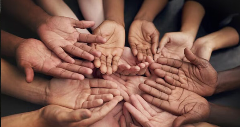 wedonotcomewithrocks