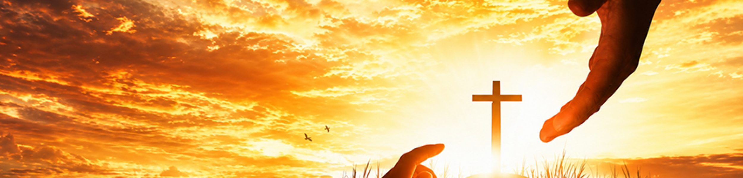Gods-Love-Aug-8-2026