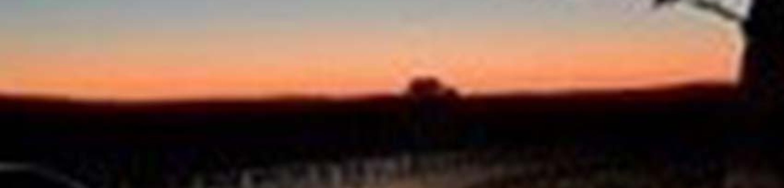 bg-That-troublesome-resurrection