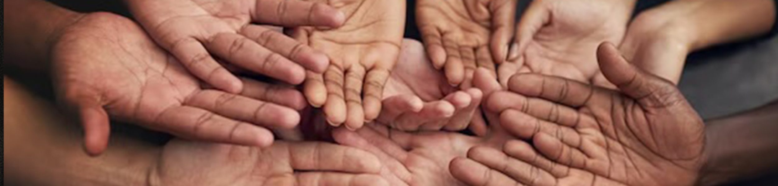 wedonotcomewithrocks